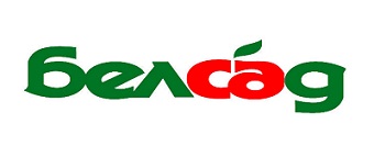 Белсад